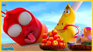 TOMATO FESTIVAL 🦗 Larva Season 4 🌷Larva Terbaru 20245🌴 Comedy video 🍉 Larva Tuba Show