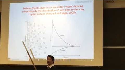 Diffuse double layer theory of Clay