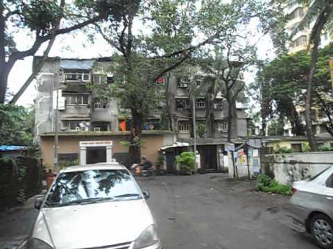 Kabra Aurum video 2