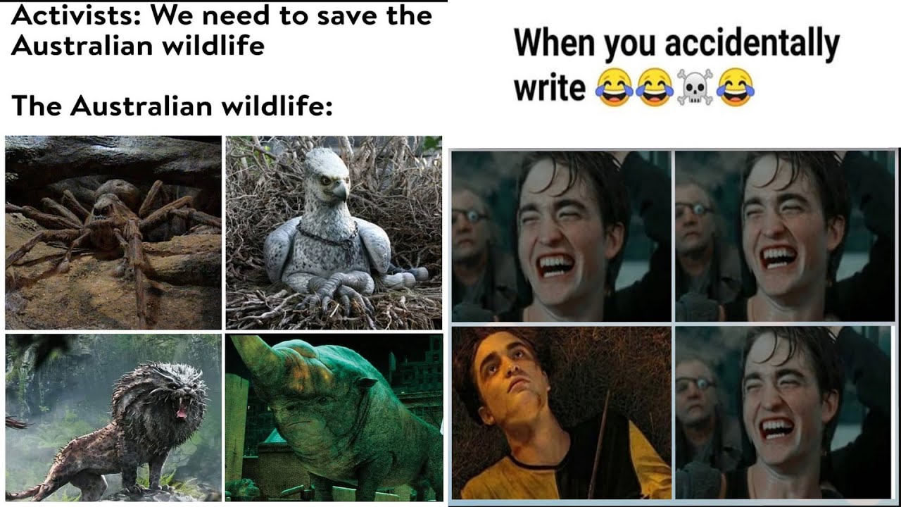 Only Harry Potter fans will find funny #14