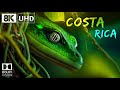 Costa rica  8k ultra 60fps dolby vision  costa rica 8kr  8k tv