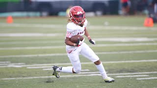 Phoenix Taylor 2022 Football Highlights