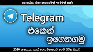 How to learn with Telegram ( TeamOne Learning Telegram Groups ) / Mr.Doctor screenshot 3