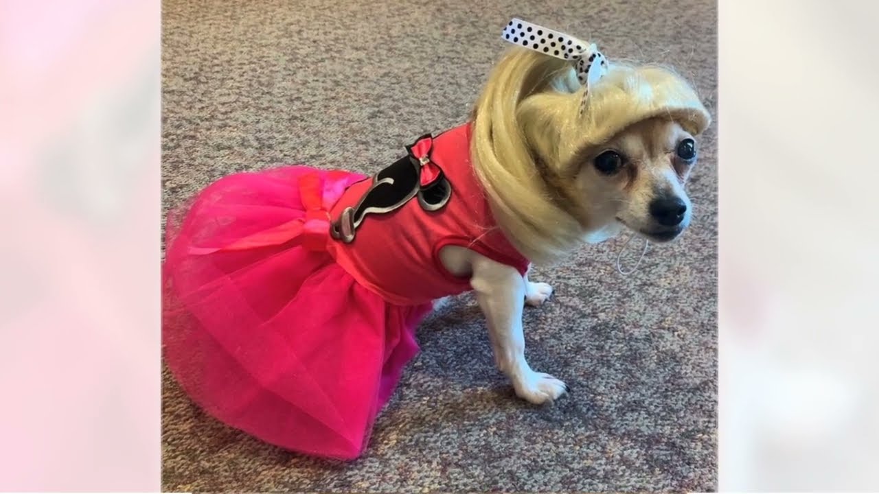 Charlie of Avalon Square