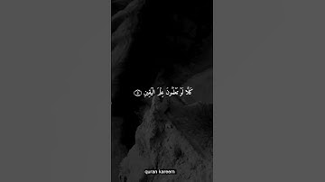 القران الكريم ماهر المعيقلي سورة التكاثر