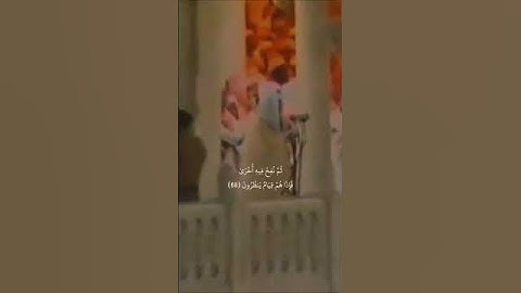 من سورة الزمر .. الشيخ سعود الشريم