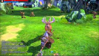 Tera CPE Baraka Berserker