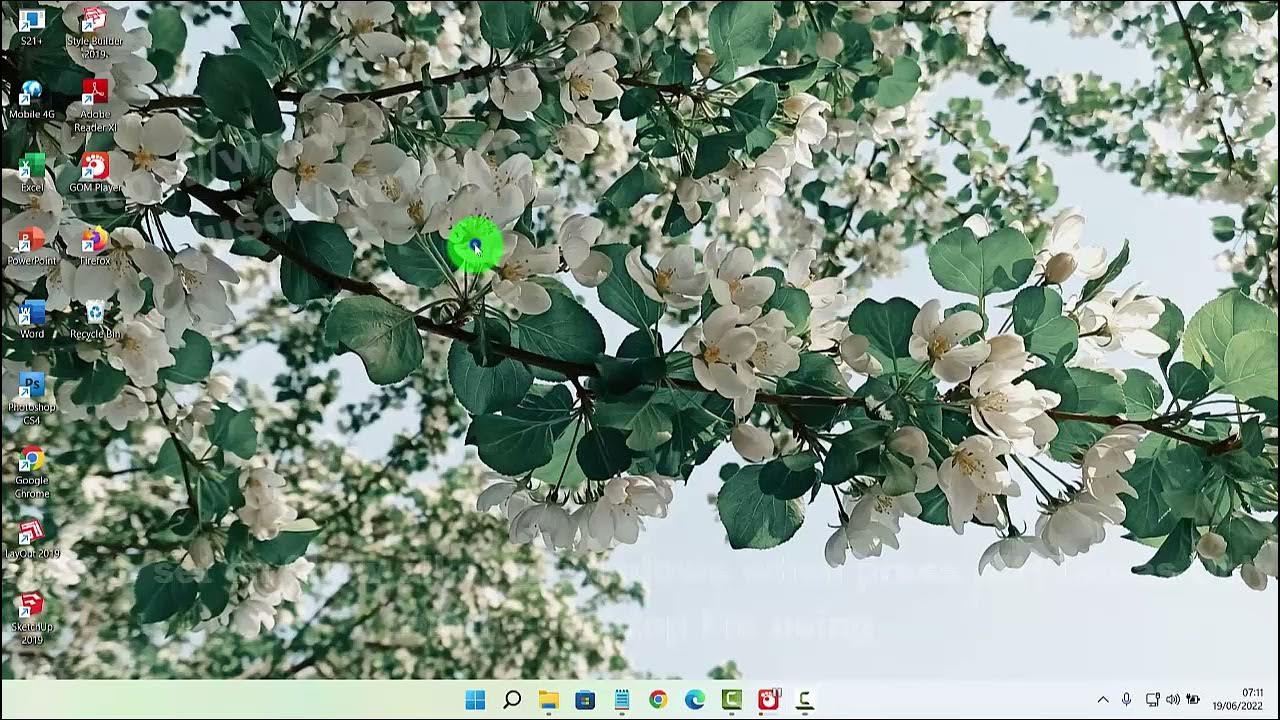 Windows 11 how to set on show all open windows when press alt tap as