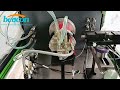 CR1017 common rail injector test bench Production video