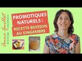 Probiotiques naturels :  boisson au gingembre lactofermentée