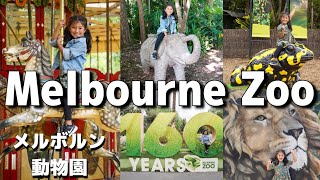 希少 ビンテージ ビミッシュ・ムスタファオーストラリア メルボルン 当時物 希少 ビンテージ ビミッシュ・ムスタファオーストラリア