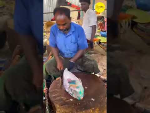 #fish