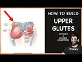 How to build upper glutes for bikini  wellness  free mini course for beginners 