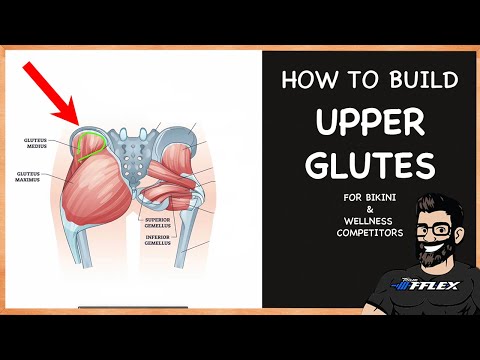 How to Build UPPER GLUTES for Bikini & Wellness | FREE Mini Course for Beginners |