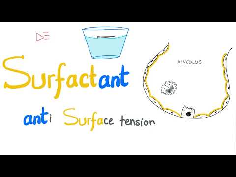 Surfactant