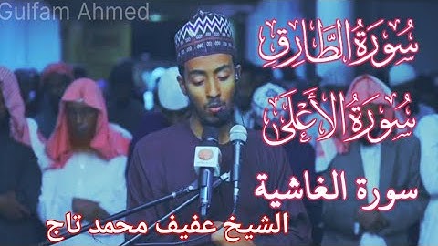 Sheikh Afif Mohammed Taj | سورۃ الطارق | سورة الاعلى | سورة الغاشية
