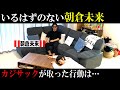 【ドッキリ】朝倉未来さんがリビングにいたら、あなたならどうしますか？