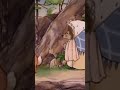 PETER RABBIT &amp; FRIENDS shorts - The Tale of Mrs Tiggy-Winkle: &quot; Lucie meets Peter Rabbit.&quot;