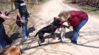 FOHA Buddies 4 10 2014