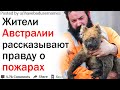 АВСТРАЛИЙЦЫ РАССКАЗЫВАЮТ ОБ УЖАСАХ ПОЖАРОВ | АПВОУТ