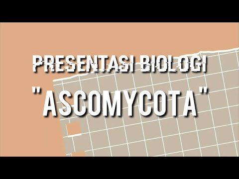 ASCOMYCOTA ~ Apa sih Ascomycota itu?