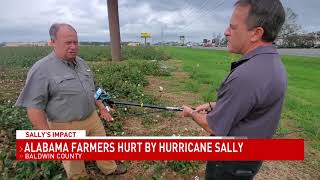 Baldwin Co. farmers hit hard by Hurricane Sally - NBC 15 WPMI