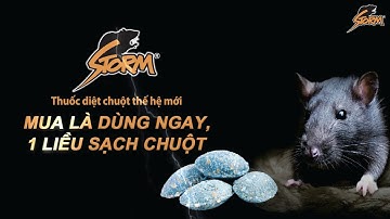Cách sử dụng thuốc diệt chuột Storm