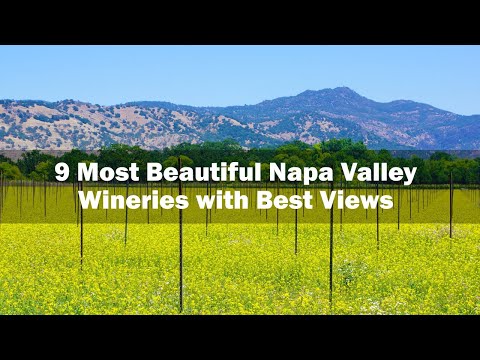 Video: Nejlepší vinařství v Kalifornii Mimo Napa a Sonoma