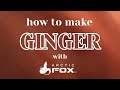 How to make GINGER with Arctic Fox | Hair Swatch