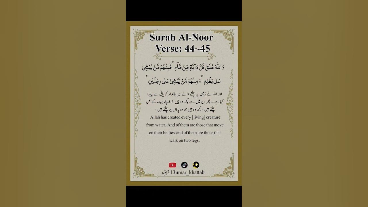quran-recitation-surah-al-noor-verse-44-45-by-ahmed-khedr