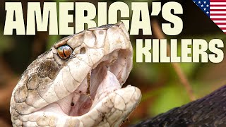 Confronting USA's most Lethal Snakes | Ten Deadliest Snakes with Nigel Marven | @UltimateNatureDocs