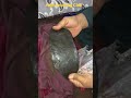 Afghani Hashish Chars Marijuana Weed 