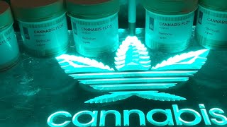 REVIEW Bedrocan Charge 19A09/ 22.7% THC Unboxing + Spannabis Review