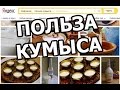 Чем полезен кумыс (кымыз)