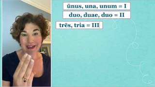 Famous Latin pronunciation of numbers along with the Roman Numerals  I - XX. Profile