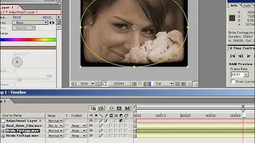 Video Copilot Old Film Look (Video Copilot After Effects by Andrew Kramer)