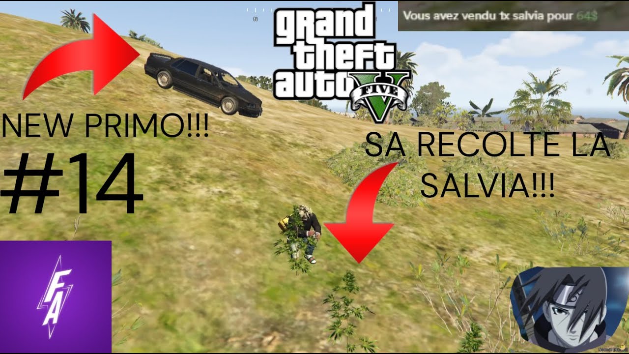GTARP(FLASHBACK FA) AVENTURE #14 JE VEND DE LA DROGUE (1ER FOIS), LA ...