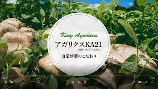 愛犬・愛猫用サプリメント【ペット用キングアガリクス100（アガリクス