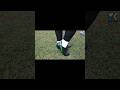 A day with Lycan Solarize X FG #mabol #sepakbola #football #cleats #sepatubola #lycan#shorts #fyp