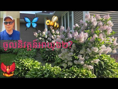 ផលវិជ្ជមាននិងអវិជ្ជមាននៅពេលចូលនិវត្តន៍អាយុ៦២និងការថែទាំកាត់ស្មៅនៅផ្ទះ🏡🌞/Retirement at 62?