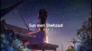 Sun meri shehzadi - Lofi | Slowed Down & Reverb | Saaton Janam Mein Tere | Night Song