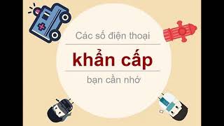111, 113, 114, 115 là số điện thoại gì - Thư Viện Pháp Luật