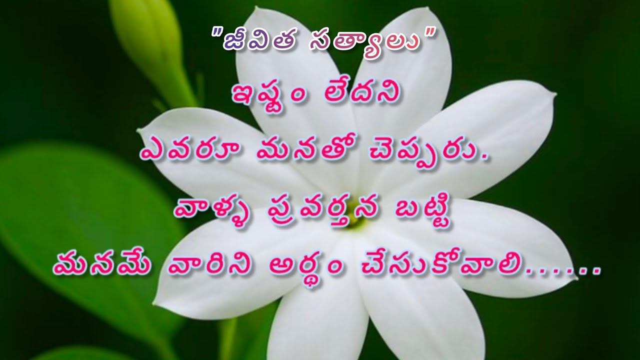 ఇష్టం లేదని ఎవరూ మనతో చెప్పరు.... Life quotes in Telugu