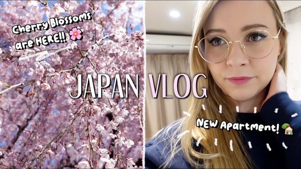 海外の反応 美人外国人が日本で春のほのぼの一日 かいにちニュース 海外の反応
