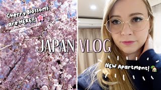 JAPAN VLOG | got a new apartment + spring is here!