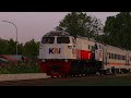Hunting Ka Siliwangi &amp; Jaka Lalana Di Stasiun Cibeber [PERTAMA KOMEN PIN 📌]
