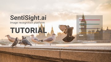 SentiSight.ai labeling settings tutorial