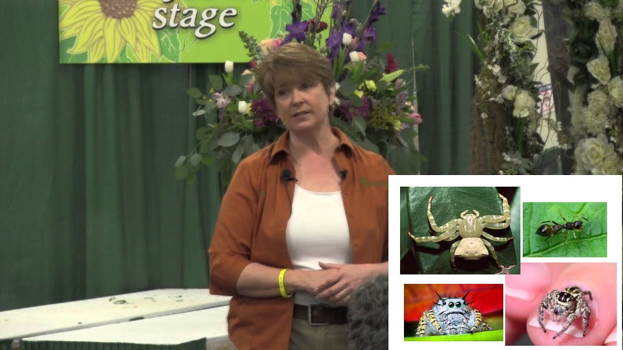 Beneficials and Pollinators