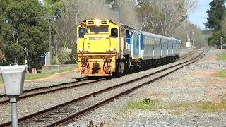 A Day in the Bay Rail Excursion by Fielding and Districts Steam Rail Society 18 September 2022