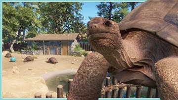 Aldabra Giant Tortoise Habitat | Lost Creek | Planet Zoo Speed Build